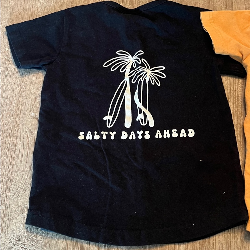 Two Little Surfer Dude Teeshirts size 2T - Picture 8 of 9